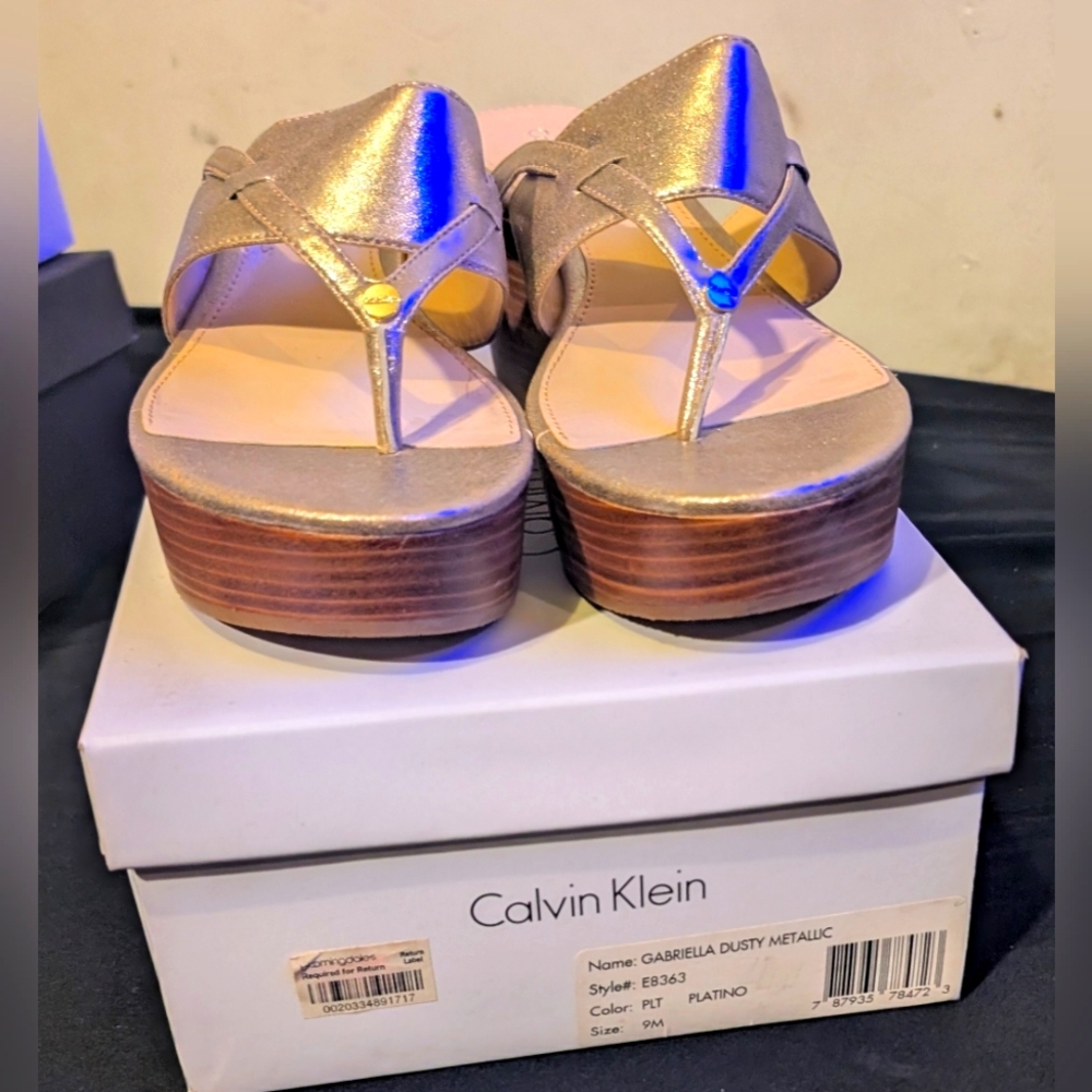 Calvin Klein Gabriella Dusty Metallic Platino Platform Sandals (New!)